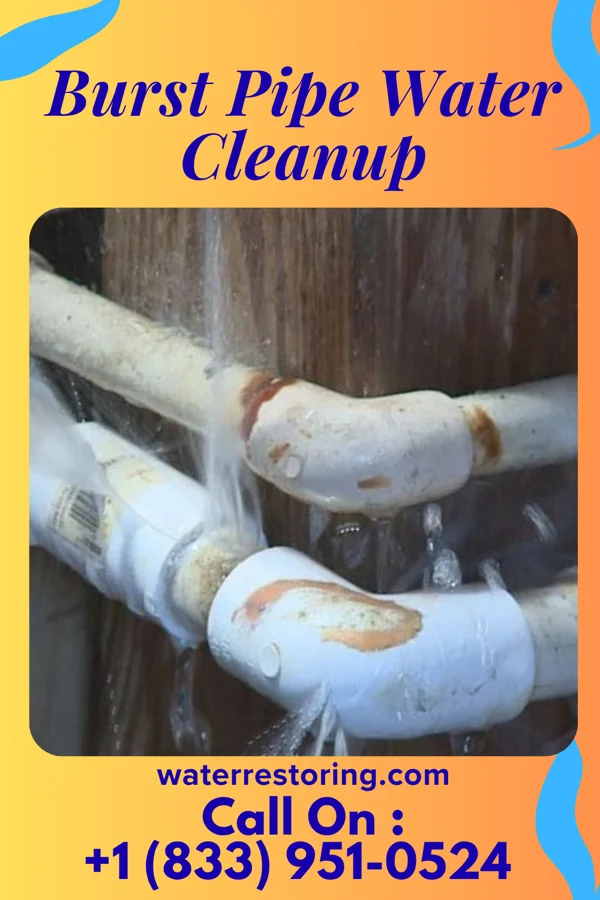 Burst Pipe Water Cleanup in Washtucna, WA