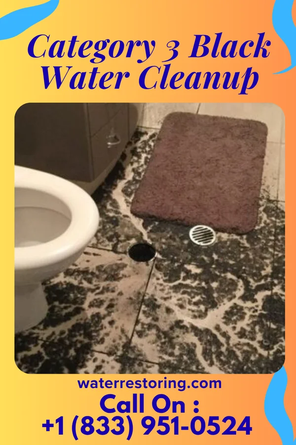 Category 3 Black Water Cleanup in Washtucna, WA