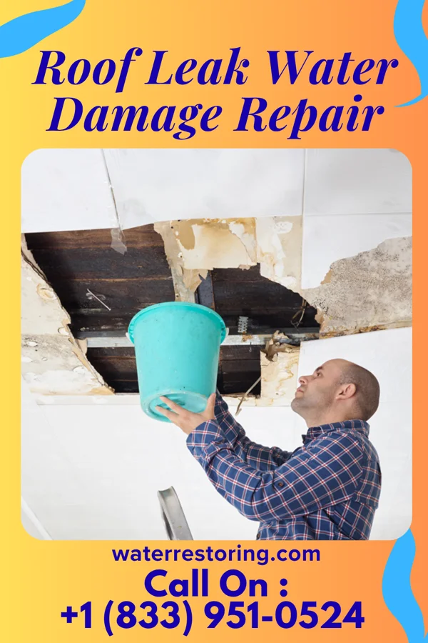 Roof Leak Water Damage Repair in Washtucna, WA