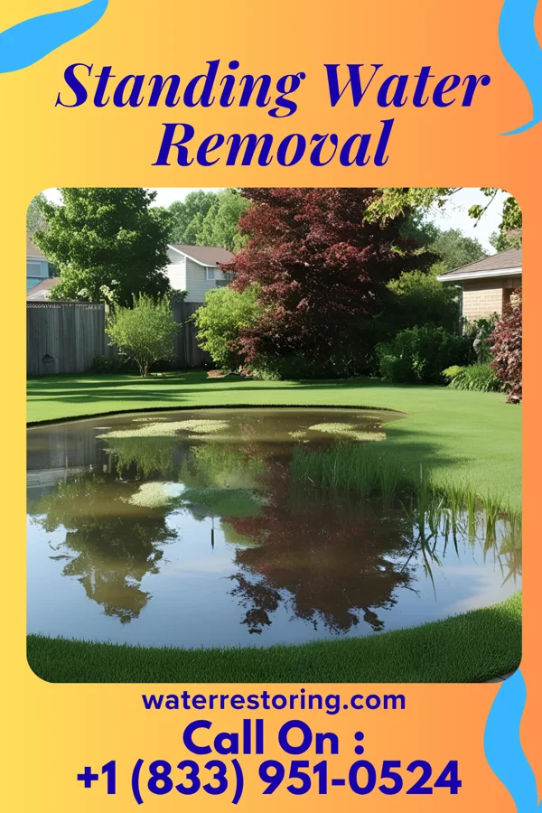 Standing Water Removal in Washtucna, WA